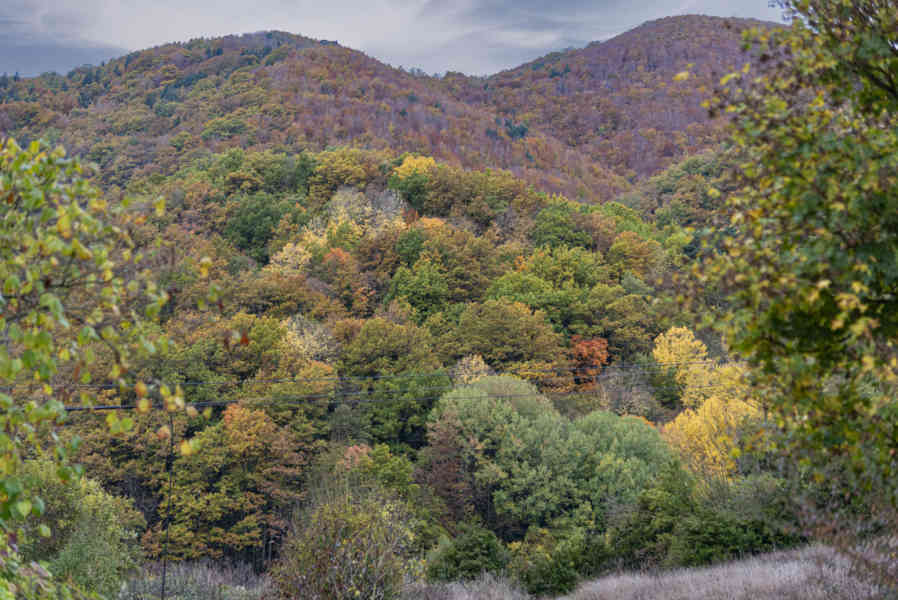 Comunidad Foral de Navarra 151 - valle de Roncal.jpg